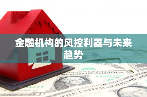 集集金融机构的风控利器与未来趋势