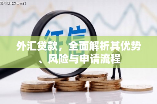 集集外汇贷款，全面解析其优势、风险与申请流程