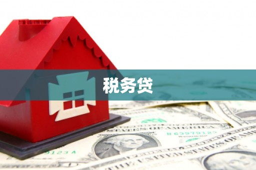 集集税务贷