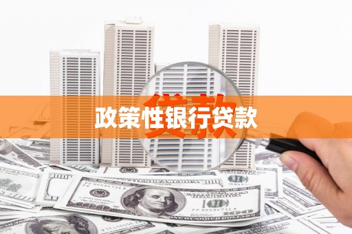 集集政策性银行贷款
