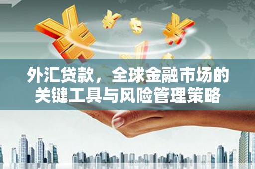 集集外汇贷款，全球金融市场的关键工具与风险管理策略