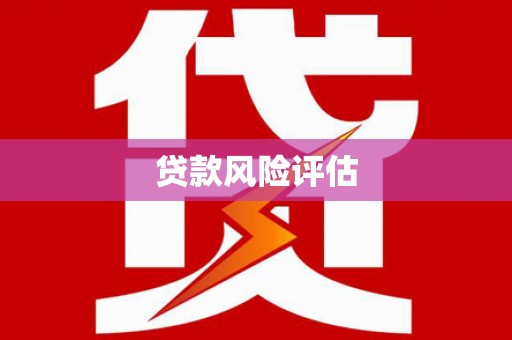 集集贷款风险评估