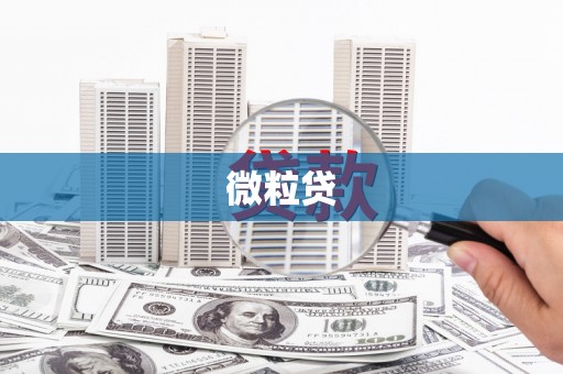 集集微粒贷