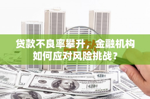 集集贷款不良率攀升，金融机构如何应对风险挑战？