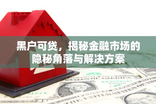 集集黑户可贷，揭秘金融市场的隐秘角落与解决方案