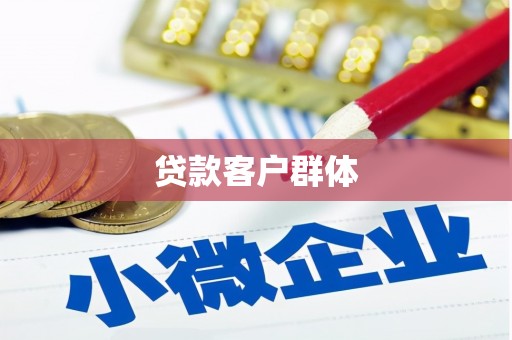 集集贷款客户群体