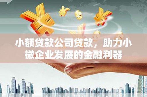 集集小额贷款公司贷款，助力小微企业发展的金融利器