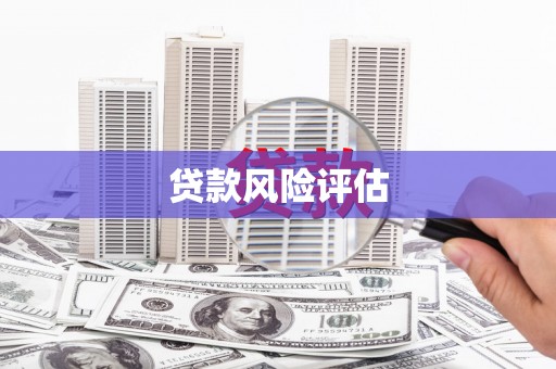 集集贷款风险评估