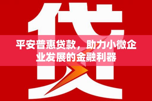 集集平安普惠贷款，助力小微企业发展的金融利器