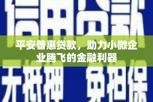 集集平安普惠贷款，助力小微企业腾飞的金融利器