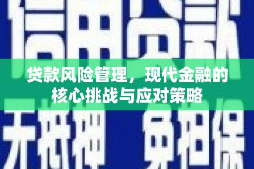 集集贷款风险管理，现代金融的核心挑战与应对策略