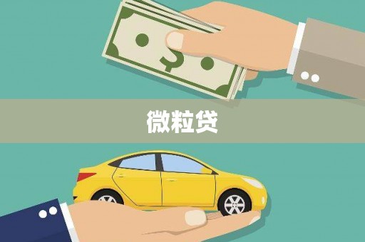 集集微粒贷