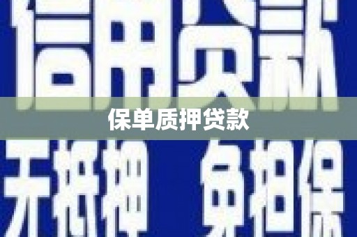 集集保单质押贷款