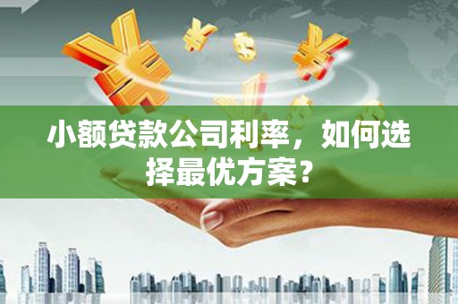 集集小额贷款公司利率，如何选择最优方案？