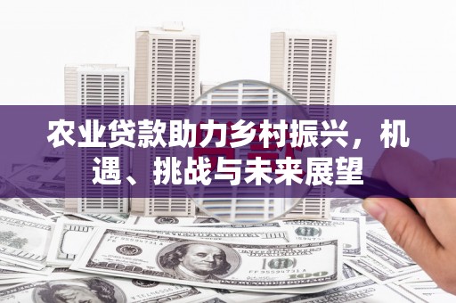 集集农业贷款助力乡村振兴，机遇、挑战与未来展望