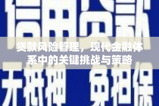集集贷款风险管理，现代金融体系中的关键挑战与策略