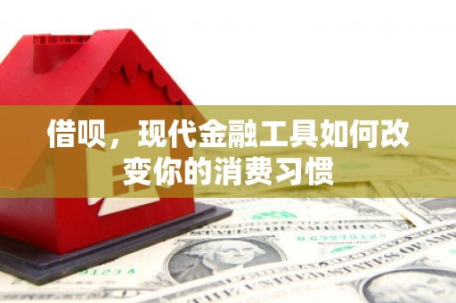 集集借呗，现代金融工具如何改变你的消费习惯