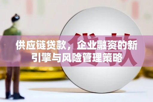集集供应链贷款，企业融资的新引擎与风险管理策略