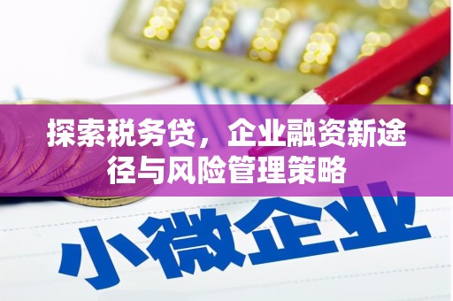集集探索税务贷，企业融资新途径与风险管理策略