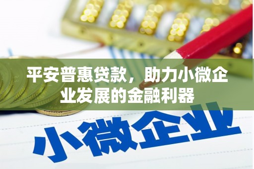 集集平安普惠贷款，助力小微企业发展的金融利器