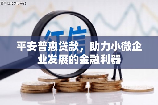 集集平安普惠贷款，助力小微企业发展的金融利器
