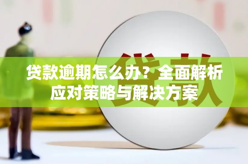 集集贷款逾期怎么办？全面解析应对策略与解决方案