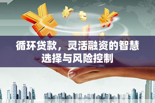 集集循环贷款，灵活融资的智慧选择与风险控制