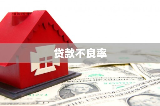 集集贷款不良率