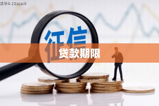 集集贷款期限