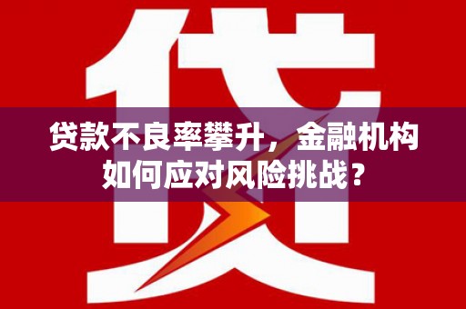 集集贷款不良率攀升，金融机构如何应对风险挑战？