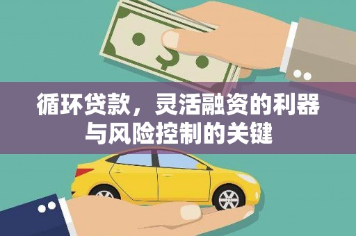 集集循环贷款，灵活融资的利器与风险控制的关键