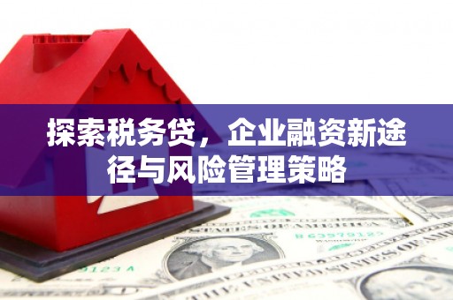 集集探索税务贷，企业融资新途径与风险管理策略