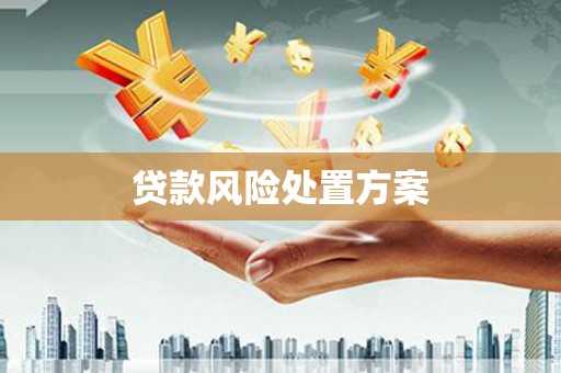 集集贷款风险处置方案