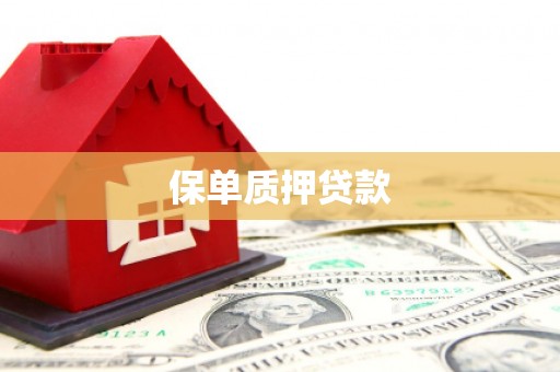 集集保单质押贷款