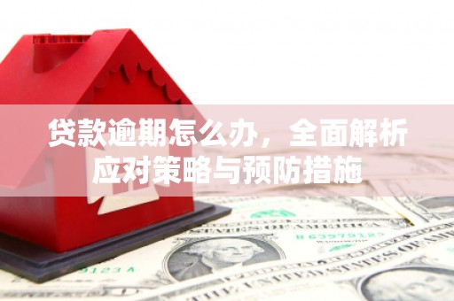 集集贷款逾期怎么办，全面解析应对策略与预防措施