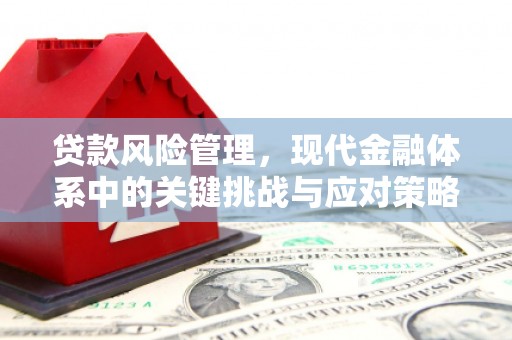 集集贷款风险管理，现代金融体系中的关键挑战与应对策略