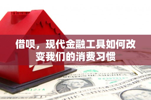 集集借呗，现代金融工具如何改变我们的消费习惯