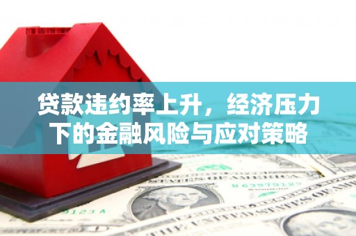 集集贷款违约率上升，经济压力下的金融风险与应对策略