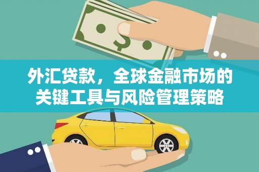 集集外汇贷款，全球金融市场的关键工具与风险管理策略