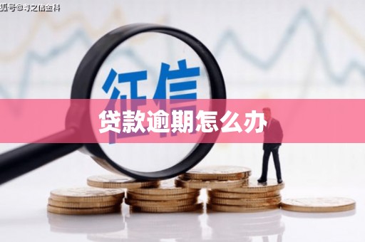 集集贷款逾期怎么办