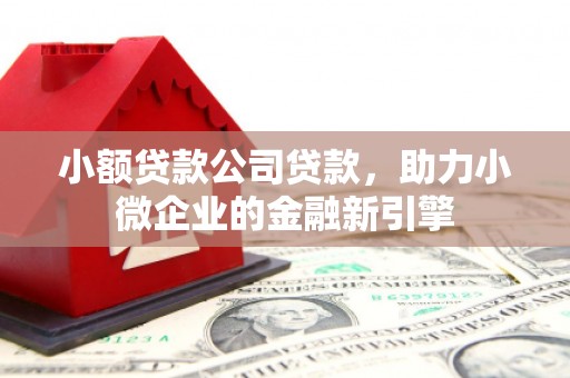 集集小额贷款公司贷款，助力小微企业的金融新引擎