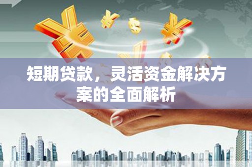 集集短期贷款，灵活资金解决方案的全面解析