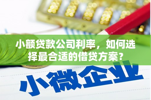 集集小额贷款公司利率，如何选择最合适的借贷方案？