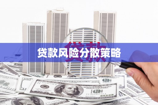 集集贷款风险分散策略
