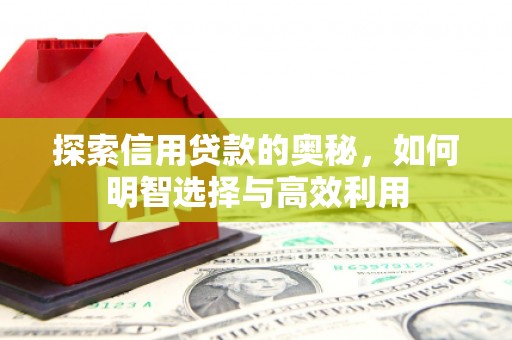 集集探索信用贷款的奥秘，如何明智选择与高效利用