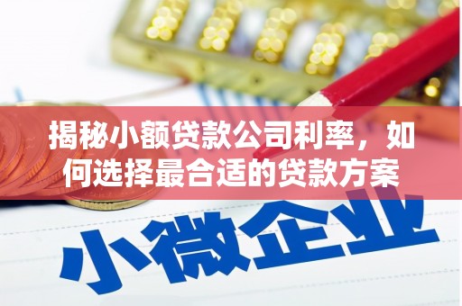 集集揭秘小额贷款公司利率，如何选择最合适的贷款方案
