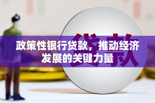 集集政策性银行贷款，推动经济发展的关键力量