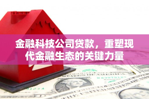 集集金融科技公司贷款，重塑现代金融生态的关键力量