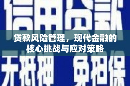 集集贷款风险管理，现代金融的核心挑战与应对策略