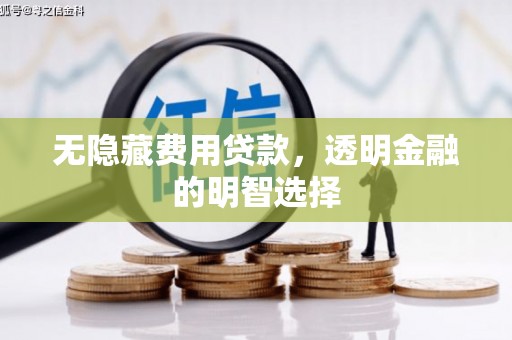 集集无隐藏费用贷款，透明金融的明智选择